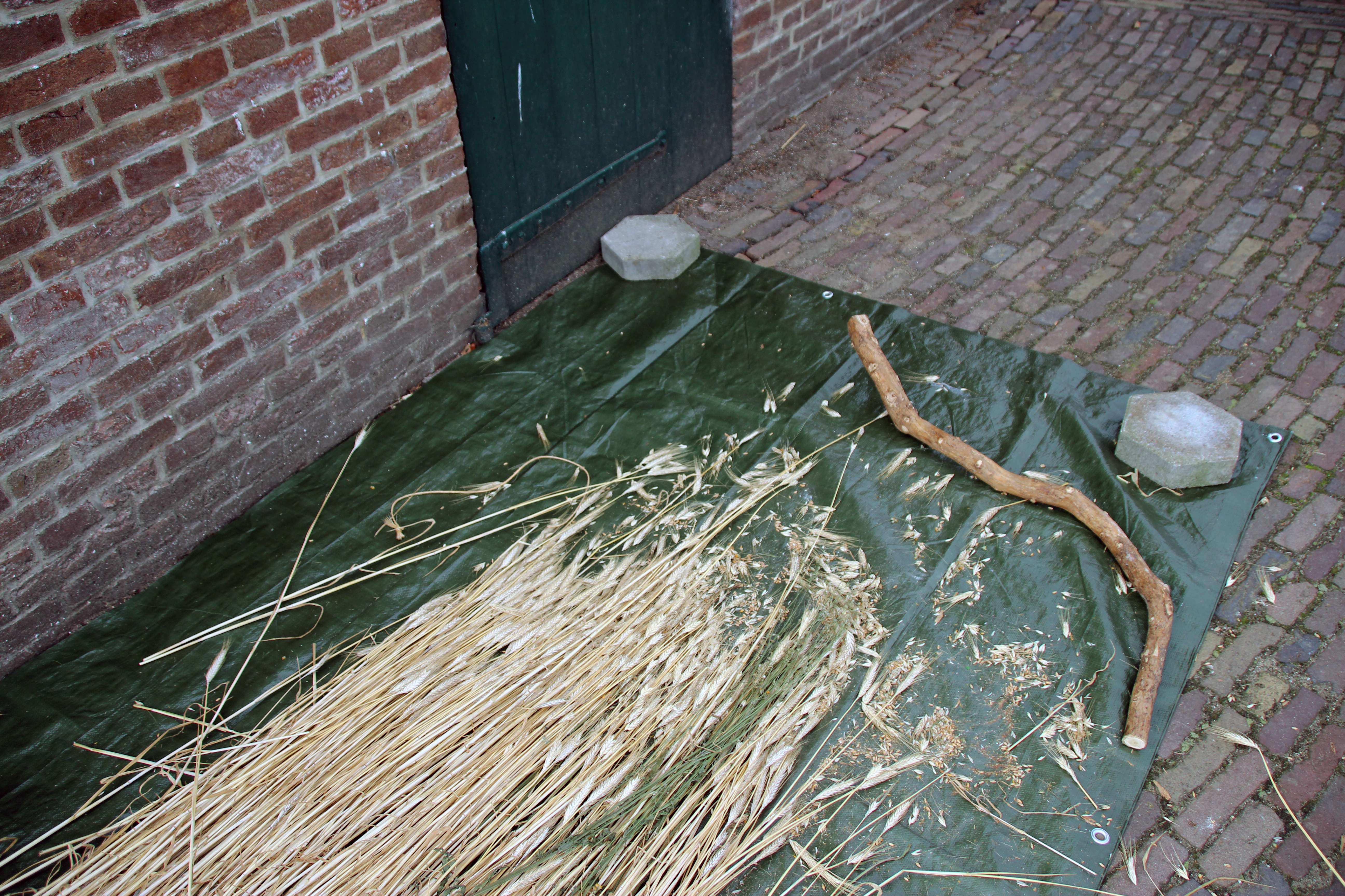 Halmen liggen klaar om gedorst te worden.