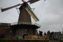 De molen met de dorsmachine op de voorgrond
